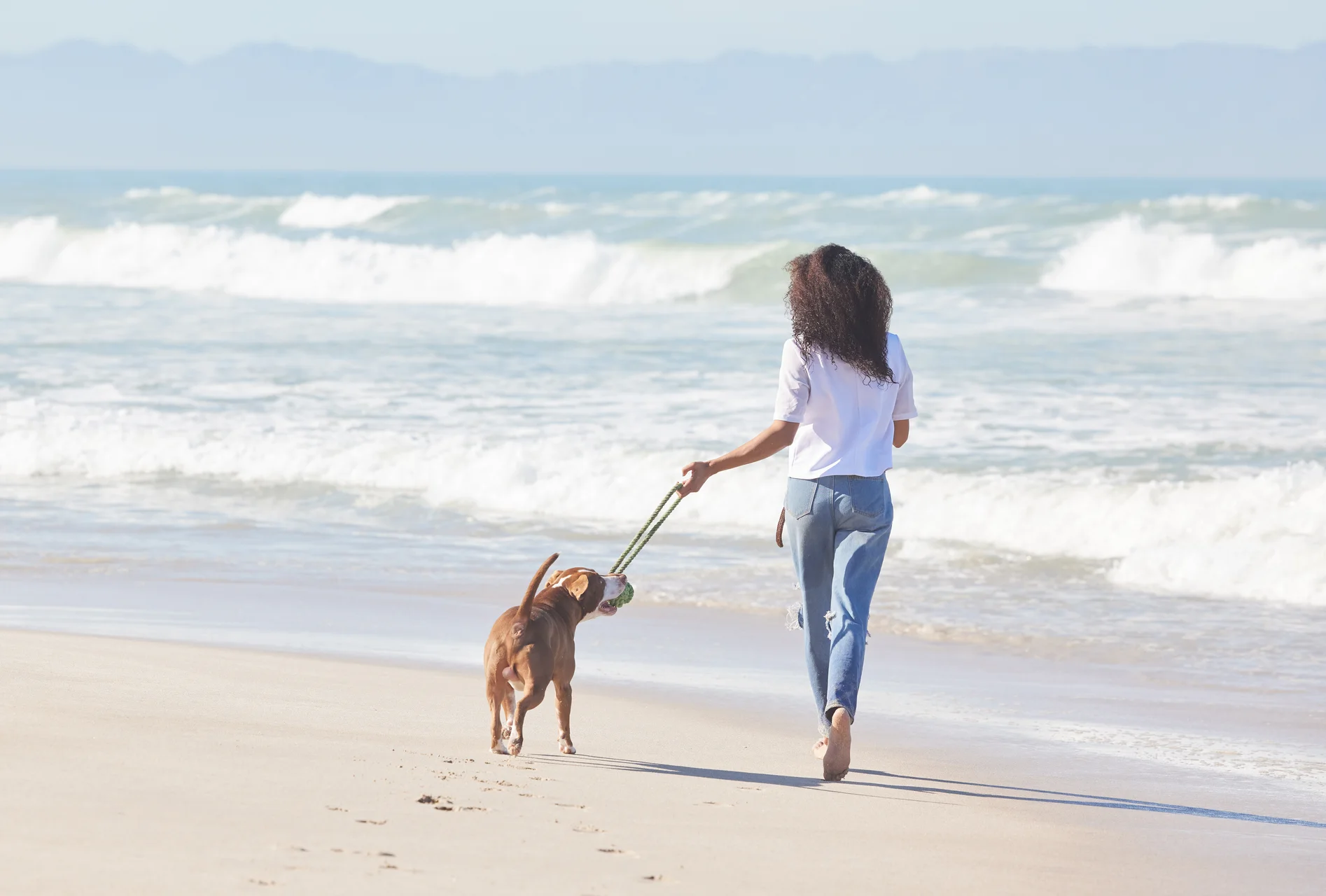Bliss Recovery, a pet friendly rehab in California's Hollywood Hills